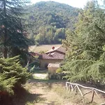 Tana Del Tasso *