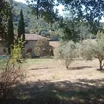Hotel Tana Del Tasso *