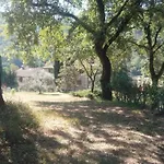 Tana Del Tasso