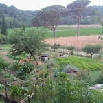 Tana Del Tasso * San Secondo