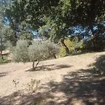 Tana Del Tasso * San Secondo