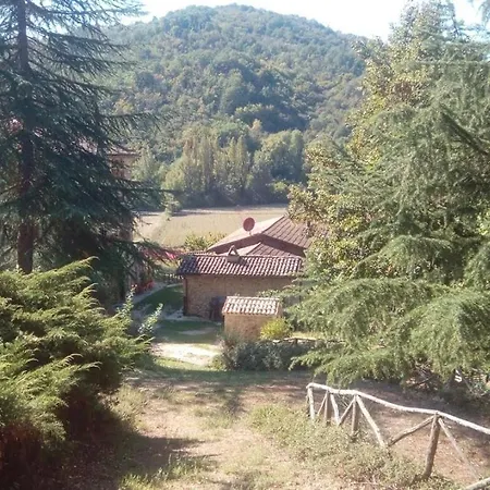 Tana Del Tasso *