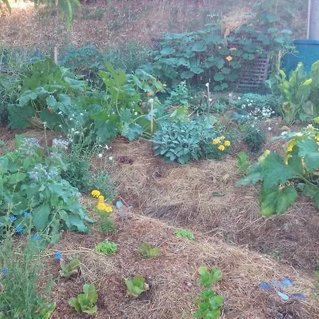 מלון Tana Del Tasso San Secondo