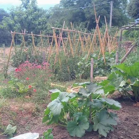 מלון Tana Del Tasso *