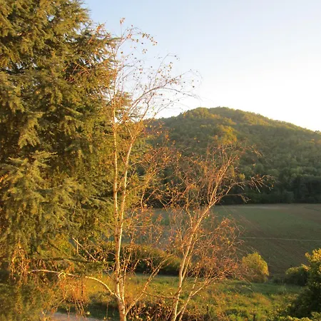 מלון Tana Del Tasso San Secondo