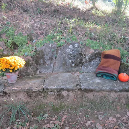 Tana Del Tasso San Secondo