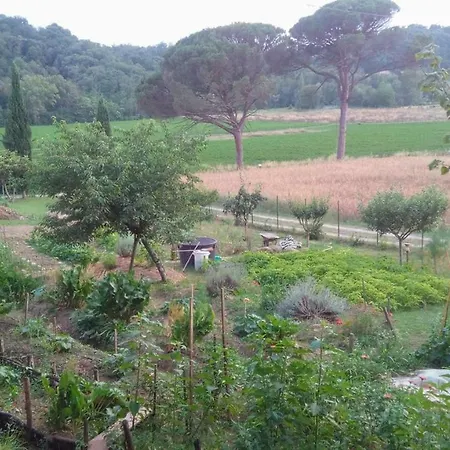 Tana Del Tasso * San Secondo