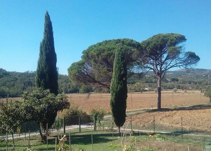 Tana Del Tasso San Secondo