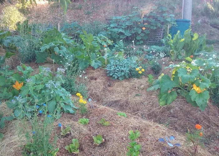 Hotel Tana Del Tasso San Secondo