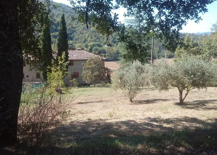 Hotel Tana Del Tasso *