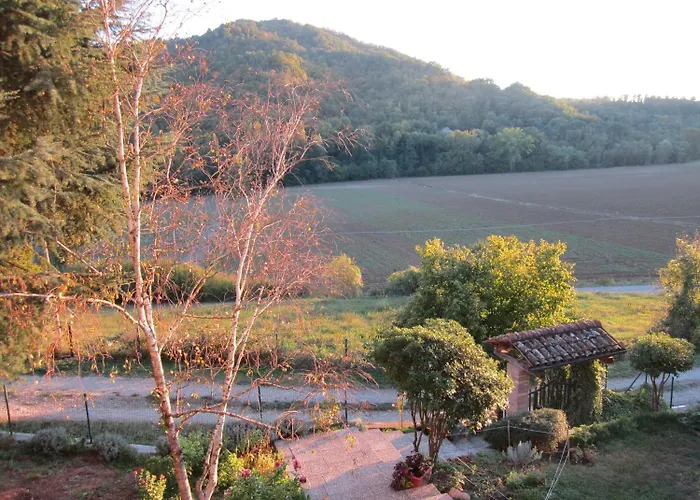 Tana Del Tasso * San Secondo