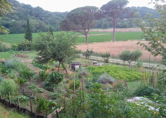 Tana Del Tasso * San Secondo