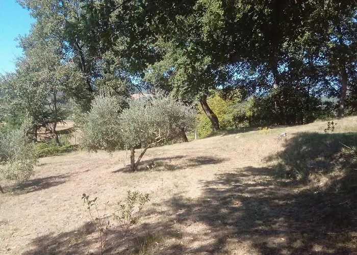 Tana Del Tasso * San Secondo